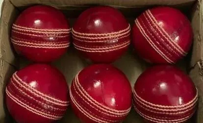 Cricket Practice Ball