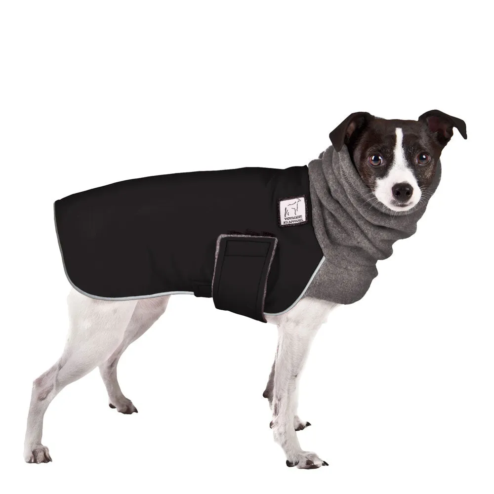 Rat Terrier Winter Coat