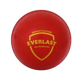 SG Everlast Synthetic Cricket Ball (Red)