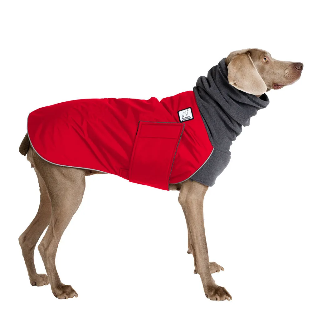 Weimaraner Winter Coat