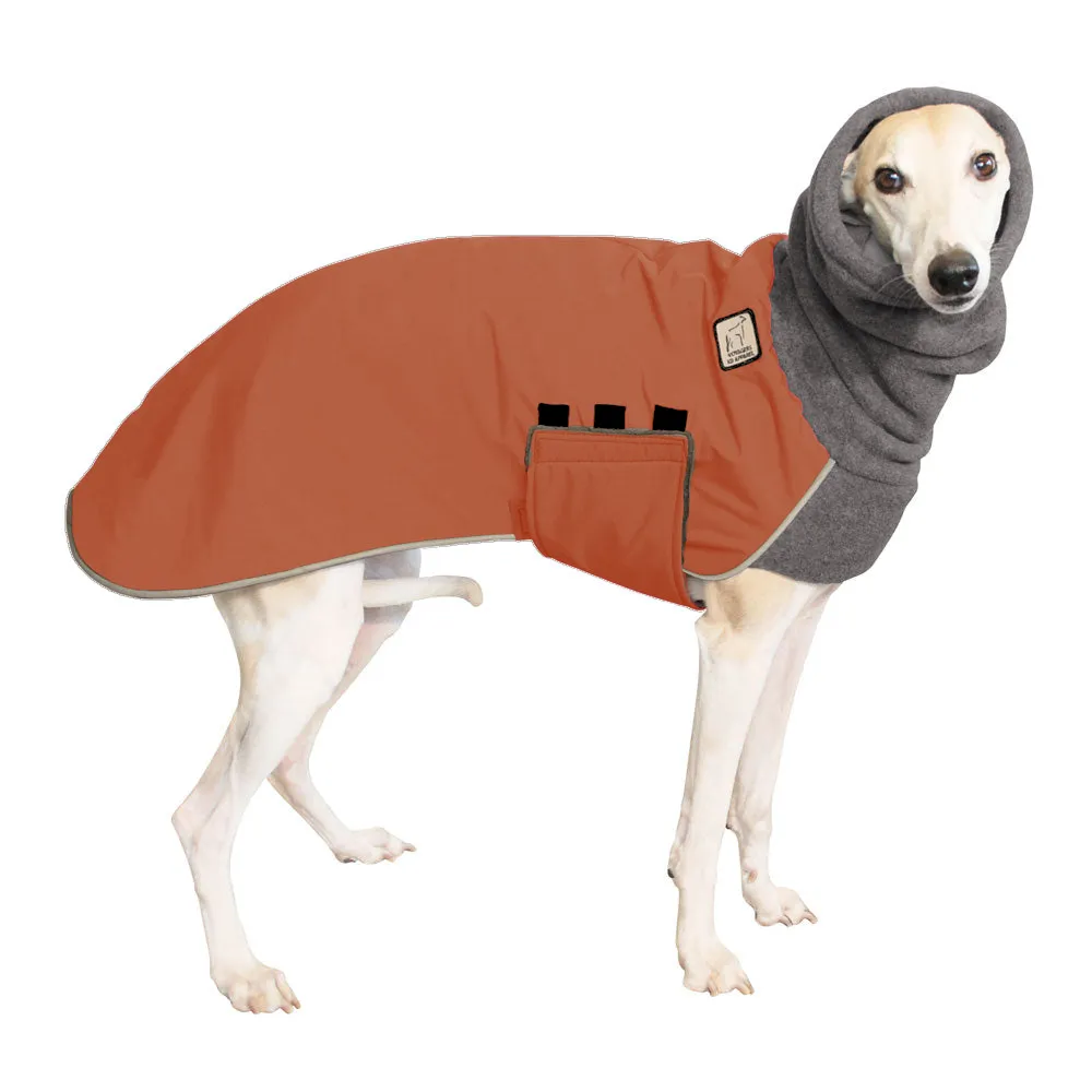 Whippet Winter Coat